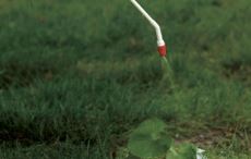 Herbicide