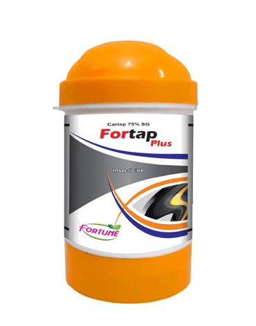 Fortap Plus